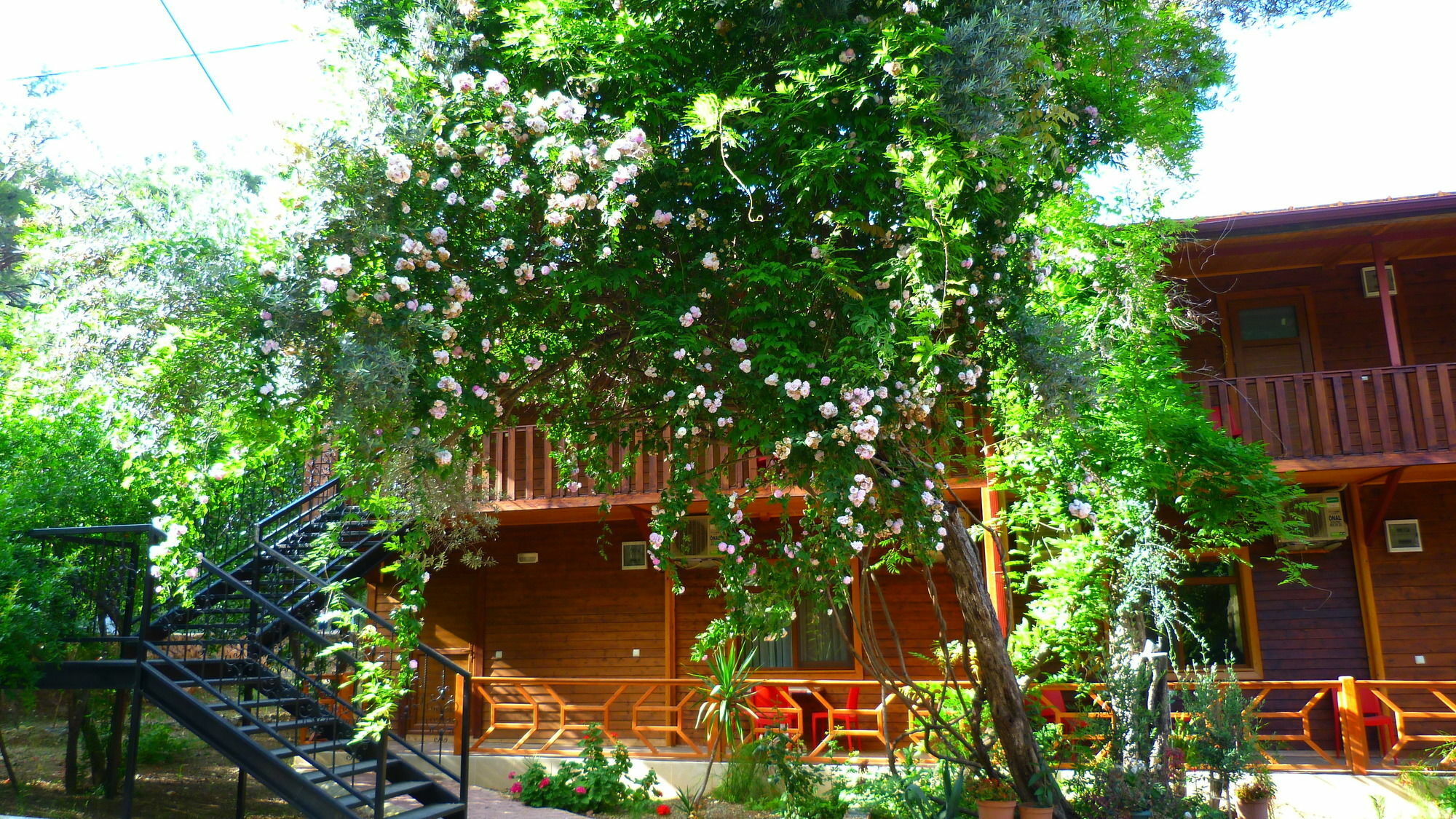 Cirali Simge Holiday Houses Zewnętrze zdjęcie